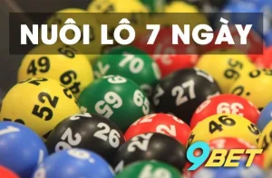 Hướng Dẫn Chi Tiết Cách Nuôi Lô 7 Ngày Cho Người Mới Bắt Đầu